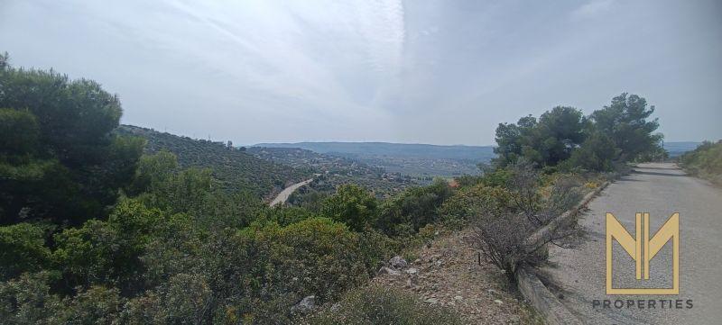 Photo 3,Εξωτερική,ΠΏΛΗΣΗ,Γη,Αγροτεμάχιο,1037τ.μ,€74,000,Μαλεσίνα