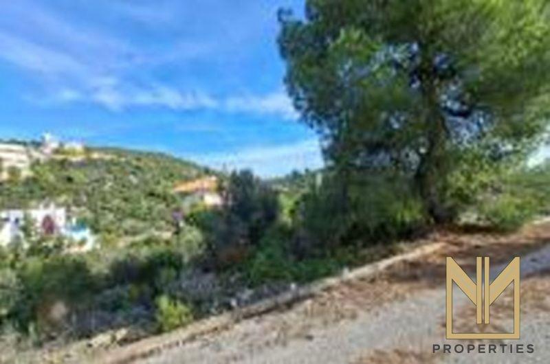 Photo 1,Εξωτερική,ΠΏΛΗΣΗ,Γη,Αγροτεμάχιο,1029τ.μ,€72,000,Μαλεσίνα