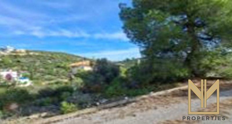 Photo 5,Εξωτερική,ΠΏΛΗΣΗ,Γη,Αγροτεμάχιο,1029τ.μ,€72,000,Μαλεσίνα