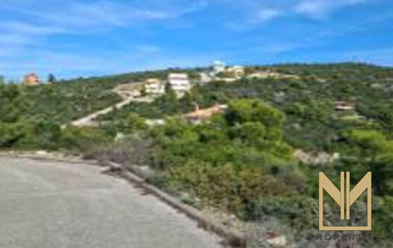 Photo 2,Εξωτερική,ΠΏΛΗΣΗ,Γη,Αγροτεμάχιο,1029τ.μ,€72,000,Μαλεσίνα