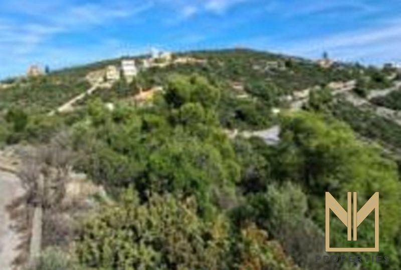 Photo 3,Εξωτερική,ΠΏΛΗΣΗ,Γη,Αγροτεμάχιο,1029τ.μ,€72,000,Μαλεσίνα