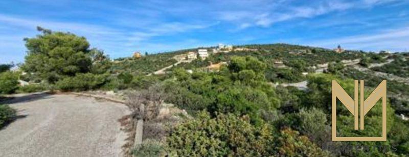 Photo 4,Εξωτερική,ΠΏΛΗΣΗ,Γη,Αγροτεμάχιο,1029τ.μ,€72,000,Μαλεσίνα