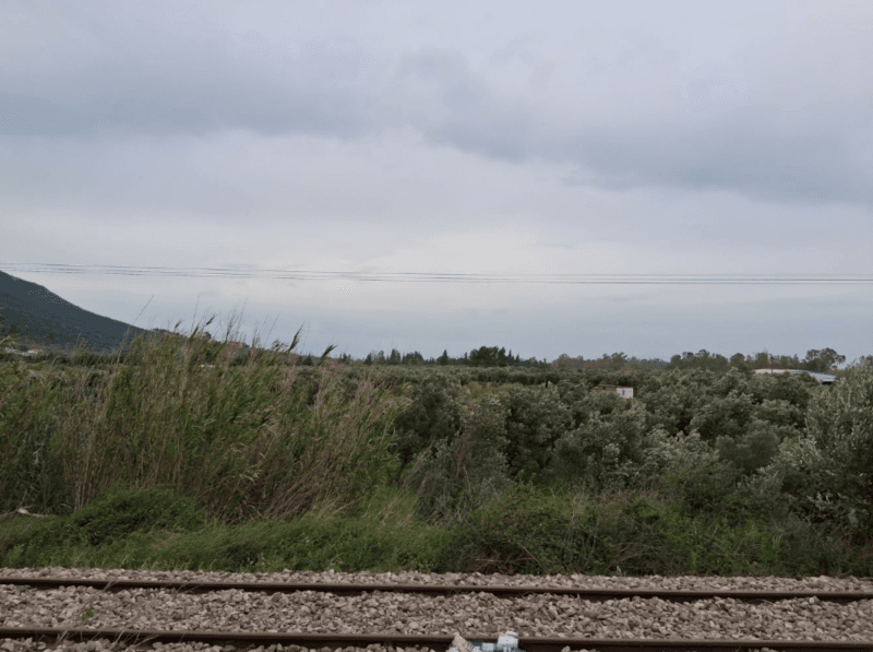 Photo 3,Θέα στη θάλασσα,ΕΝΟΙΚΊΑΣΗ,Γη,Αγροτεμάχιο,18660τ.μ,€17,500,Ευηνοχώρι