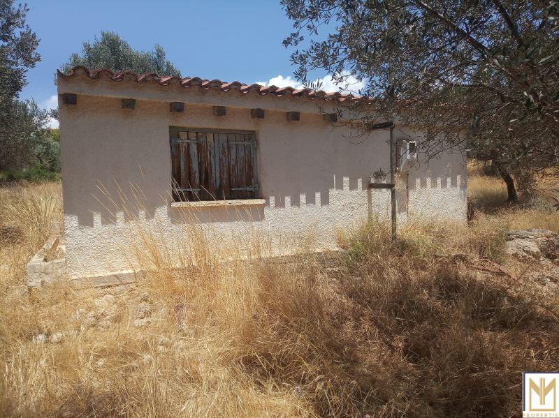 Photo 5,Εξωτερική,ΠΏΛΗΣΗ,Γη,Αγροτεμάχιο,5794τ.μ,€246,000,Κρανίδι