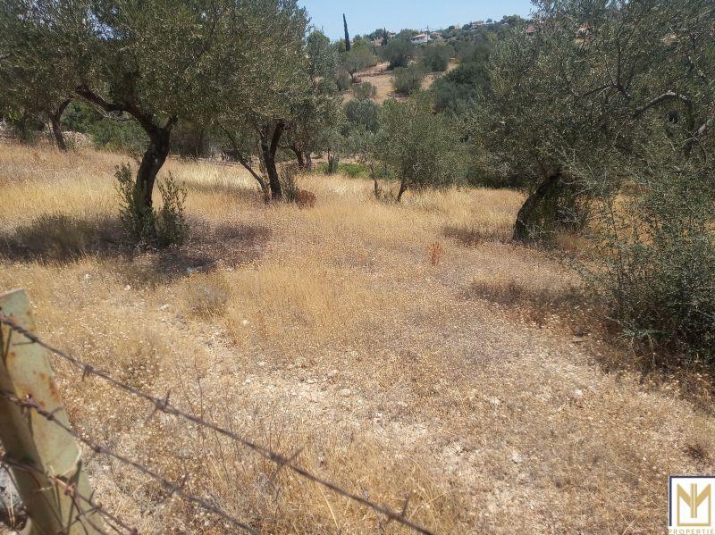 Photo 1,Εξωτερική,ΠΏΛΗΣΗ,Γη,Αγροτεμάχιο,5794τ.μ,€246,000,Κρανίδι