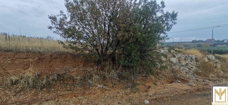 Photo 1,Θέα στη θάλασσα,ΠΏΛΗΣΗ,Γη,Αγροτεμάχιο,2750τ.μ,€30,000,Άγιος Μάμας