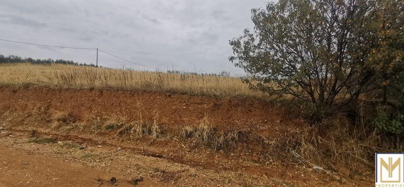 Photo 2,Εξωτερική,ΠΏΛΗΣΗ,Γη,Αγροτεμάχιο,2750τ.μ,€30,000,Άγιος Μάμας
