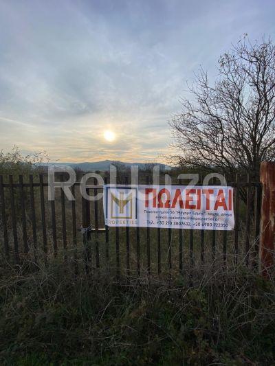 Photo 8,Εξωτερική,ΠΏΛΗΣΗ,Γη,Οικόπεδο,4367τ.μ,€10,000,Κέντρο Κιλκίς