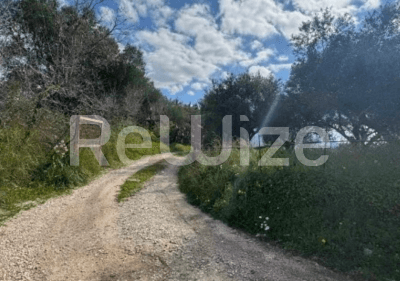 Photo 2,Εξωτερική,ΕΝΟΙΚΊΑΣΗ,Γη,Αγροτεμάχιο,3632τ.μ,€84,000,Ληξούρι