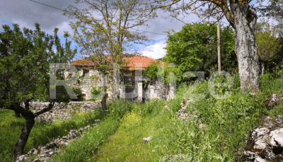 Photo 1,Κήπος,ΕΝΟΙΚΊΑΣΗ,Κατοικία,Μονοκατοικία,275τ.μ,€88,000,Τεγέα