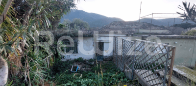 Photo 1,Κήπος,ΕΝΟΙΚΊΑΣΗ,Κατοικία,Μονοκατοικία,47τ.μ,€13,000,Σάμη