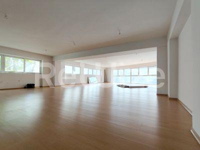 Photo 2,Πισίνα,ΠΏΛΗΣΗ,Επαγγελματικό,Γραφείο,240τ.μ,€620,000,Παλαιό Φάληρο