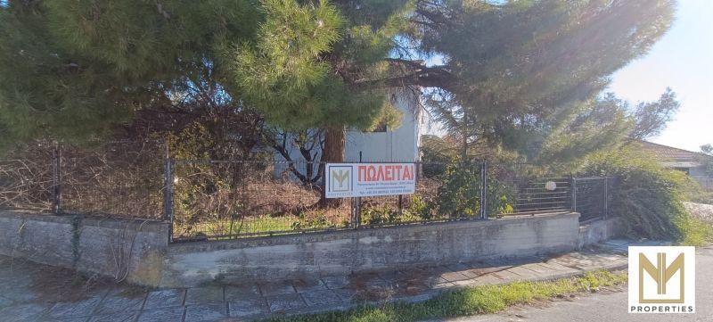 Photo 2,Εξωτερική,ΠΏΛΗΣΗ,Κατοικία,Μονοκατοικία,236τ.μ,€118,000,Πύδνα