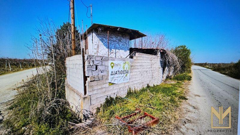 Photo 13,Παραλία,ΠΏΛΗΣΗ,Κατοικία,Μονοκατοικία,280τ.μ,€132,000,Νάουσα