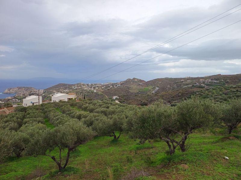 Photo 8,Θέα στη θάλασσα,ΠΏΛΗΣΗ,Γη,Οικόπεδο,8486τ.μ,€440,000,Αγία Πελαγία