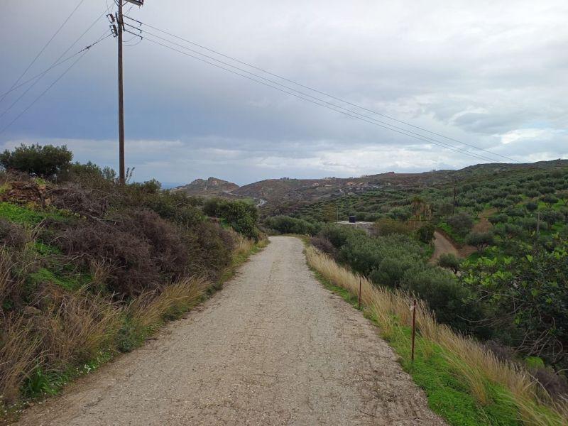 Photo 17,Εξωτερική,ΠΏΛΗΣΗ,Γη,Οικόπεδο,8486τ.μ,€440,000,Αγία Πελαγία