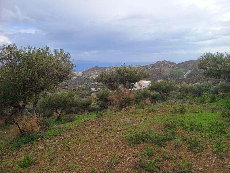 Photo 10,Εξωτερική,ΠΏΛΗΣΗ,Γη,Οικόπεδο,8486τ.μ,€440,000,Αγία Πελαγία