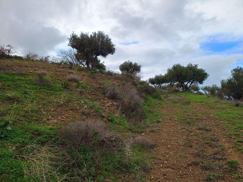 Photo 16,Εξωτερική,ΠΏΛΗΣΗ,Γη,Οικόπεδο,8486τ.μ,€440,000,Αγία Πελαγία