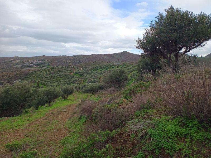 Photo 12,Εξωτερική,ΠΏΛΗΣΗ,Γη,Οικόπεδο,8486τ.μ,€440,000,Αγία Πελαγία