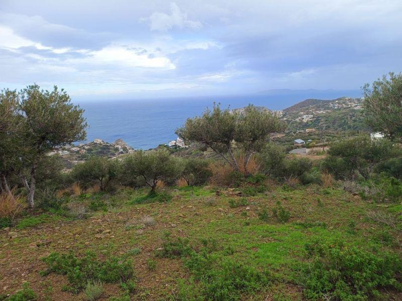 Photo 6,Θέα στη θάλασσα,ΠΏΛΗΣΗ,Γη,Οικόπεδο,8486τ.μ,€440,000,Αγία Πελαγία