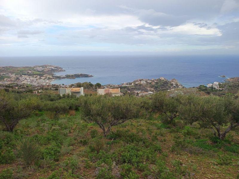 Photo 1,Θέα στη θάλασσα,ΠΏΛΗΣΗ,Γη,Οικόπεδο,8486τ.μ,€440,000,Αγία Πελαγία