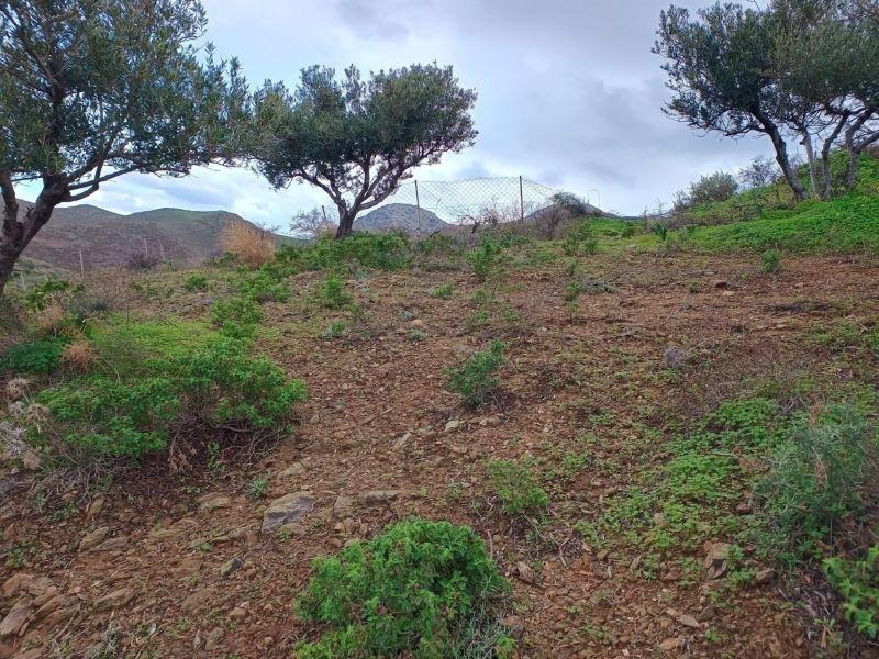 Photo 11,Εξωτερική,ΠΏΛΗΣΗ,Γη,Οικόπεδο,8486τ.μ,€440,000,Αγία Πελαγία