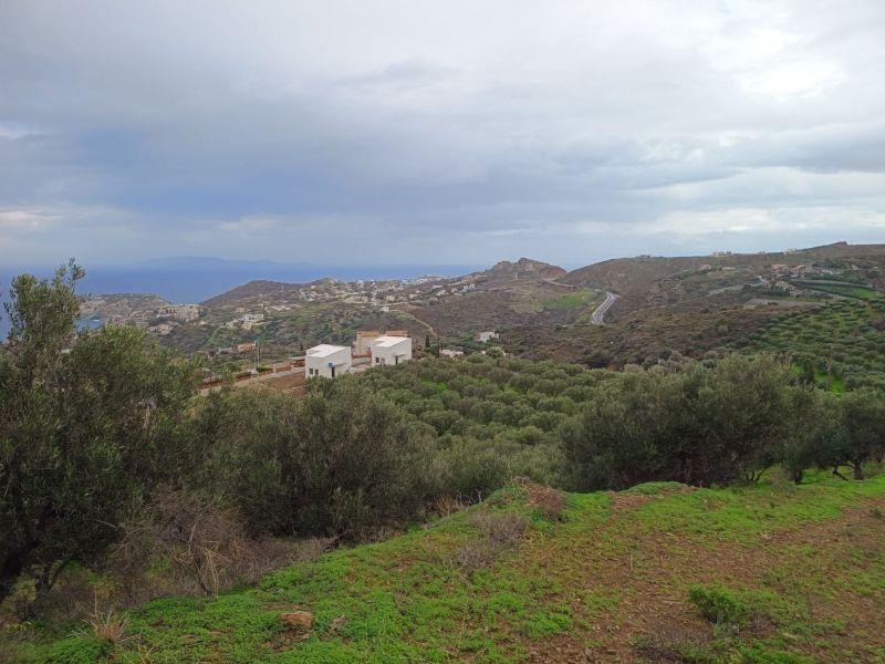 Photo 5,Θέα στη θάλασσα,ΠΏΛΗΣΗ,Γη,Οικόπεδο,8486τ.μ,€440,000,Αγία Πελαγία
