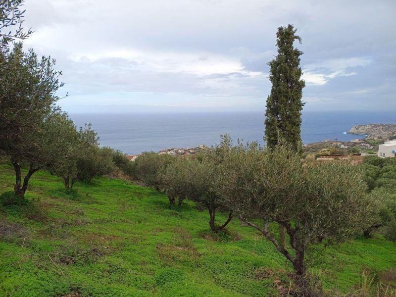 Photo 7,Θέα στη θάλασσα,ΠΏΛΗΣΗ,Γη,Οικόπεδο,8486τ.μ,€440,000,Αγία Πελαγία