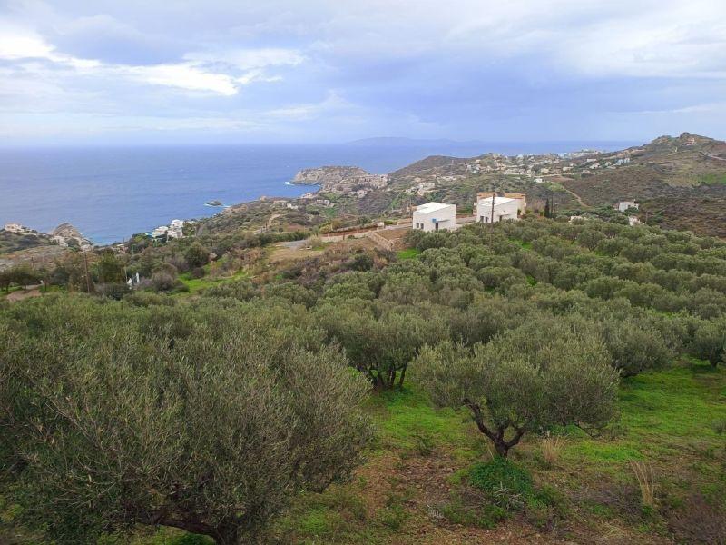 Photo 9,Θέα στη θάλασσα,ΠΏΛΗΣΗ,Γη,Οικόπεδο,8486τ.μ,€440,000,Αγία Πελαγία