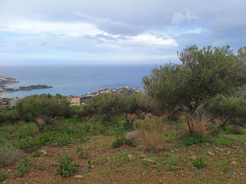 Photo 2,Θέα στη θάλασσα,ΠΏΛΗΣΗ,Γη,Οικόπεδο,8486τ.μ,€440,000,Αγία Πελαγία