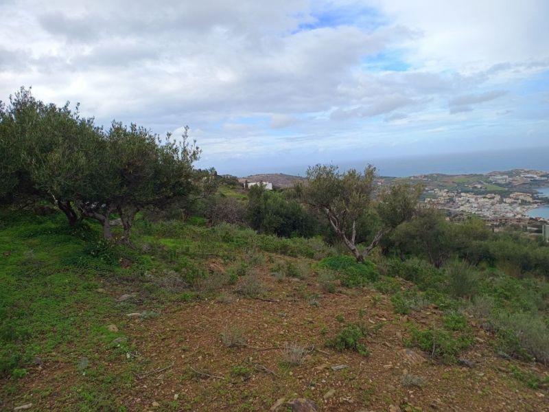 Photo 13,Εξωτερική,ΠΏΛΗΣΗ,Γη,Οικόπεδο,8486τ.μ,€440,000,Αγία Πελαγία