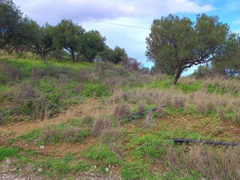 Photo 14,Εξωτερική,ΠΏΛΗΣΗ,Γη,Οικόπεδο,8486τ.μ,€440,000,Αγία Πελαγία