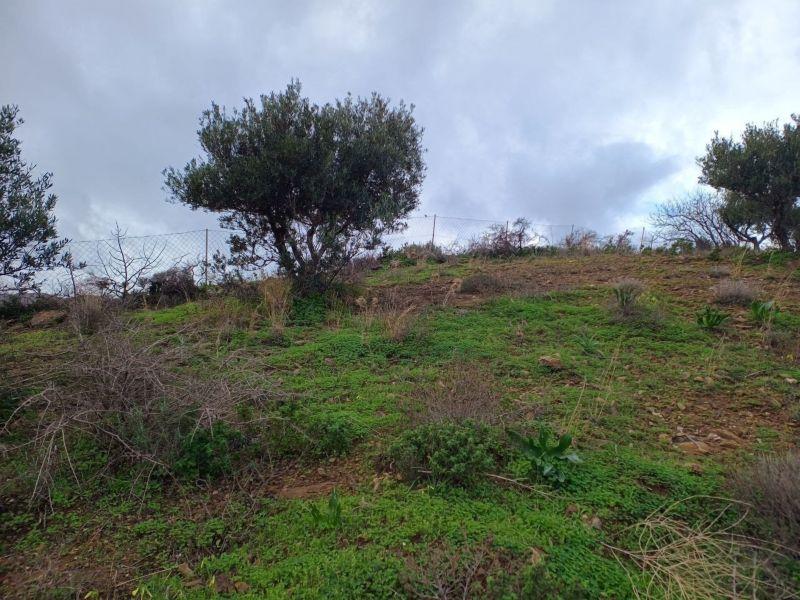 Photo 15,Εξωτερική,ΠΏΛΗΣΗ,Γη,Οικόπεδο,8486τ.μ,€440,000,Αγία Πελαγία