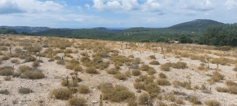 Photo 1,Εξωτερική,ΕΝΟΙΚΊΑΣΗ,Γη,Αγροτεμάχιο,5261τ.μ,€11,000,Αργοστόλι