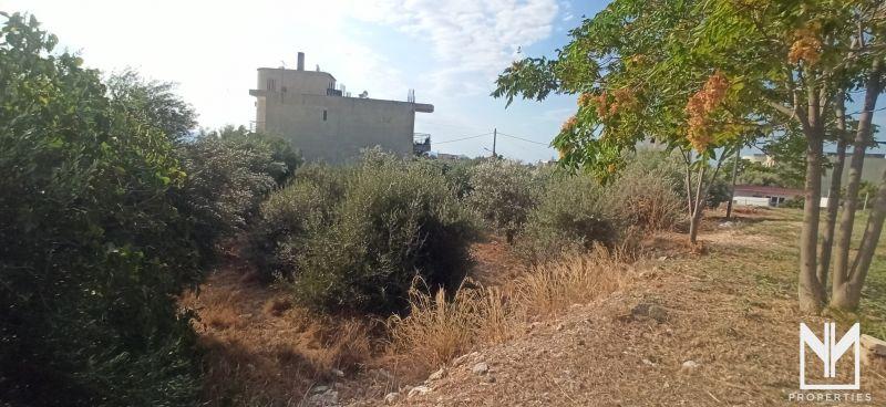 Photo 4,Εξωτερική,ΠΏΛΗΣΗ,Γη,Οικόπεδο,400τ.μ,€35,000,Κουτσοπόδι