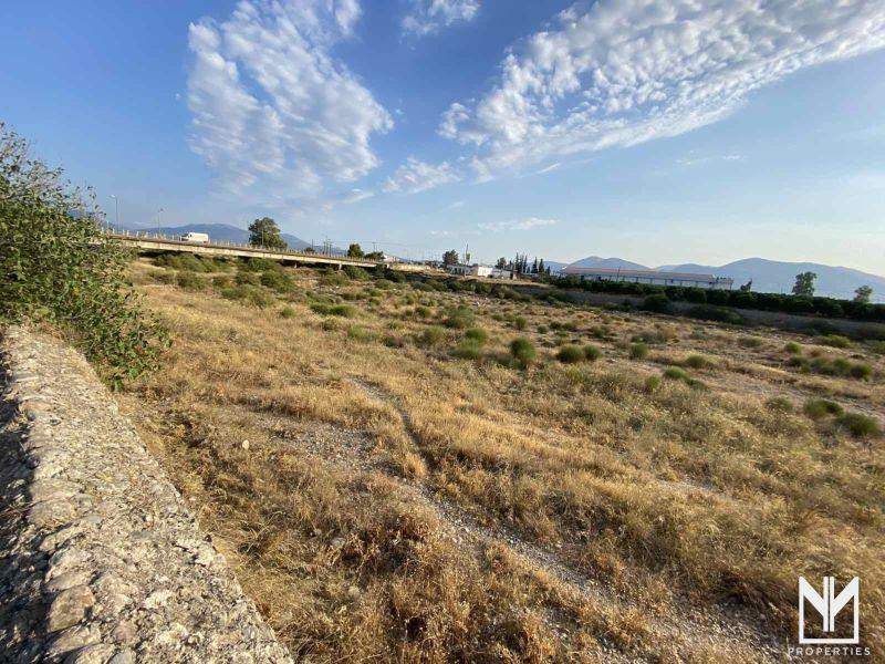 Photo 7,Εξωτερική,ΠΏΛΗΣΗ,Γη,Οικόπεδο,400τ.μ,€35,000,Κουτσοπόδι