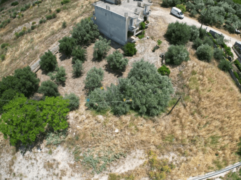 Photo 10,Κήπος,ΠΏΛΗΣΗ,Γη,Οικόπεδο,400τ.μ,€35,000,Κουτσοπόδι