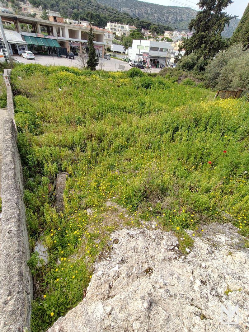 Photo 6,Εξωτερική,ΠΏΛΗΣΗ,Γη,Οικόπεδο,264τ.μ,€100,000,Πόρτο Ράφτη