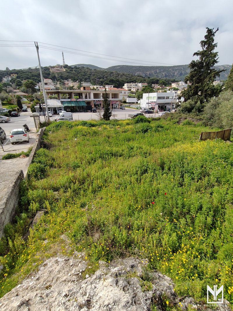 Photo 4,Κήπος,ΠΏΛΗΣΗ,Γη,Οικόπεδο,264τ.μ,€100,000,Πόρτο Ράφτη