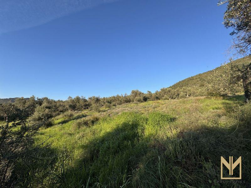 Photo 6,Εξωτερική,ΠΏΛΗΣΗ,Γη,Οικόπεδο,5911τ.μ,€78,100,Μυτιλήνη
