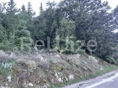 Photo 3,Εξωτερική,ΕΝΟΙΚΊΑΣΗ,Γη,Οικόπεδο,6000τ.μ,€68,000,Ληξούρι