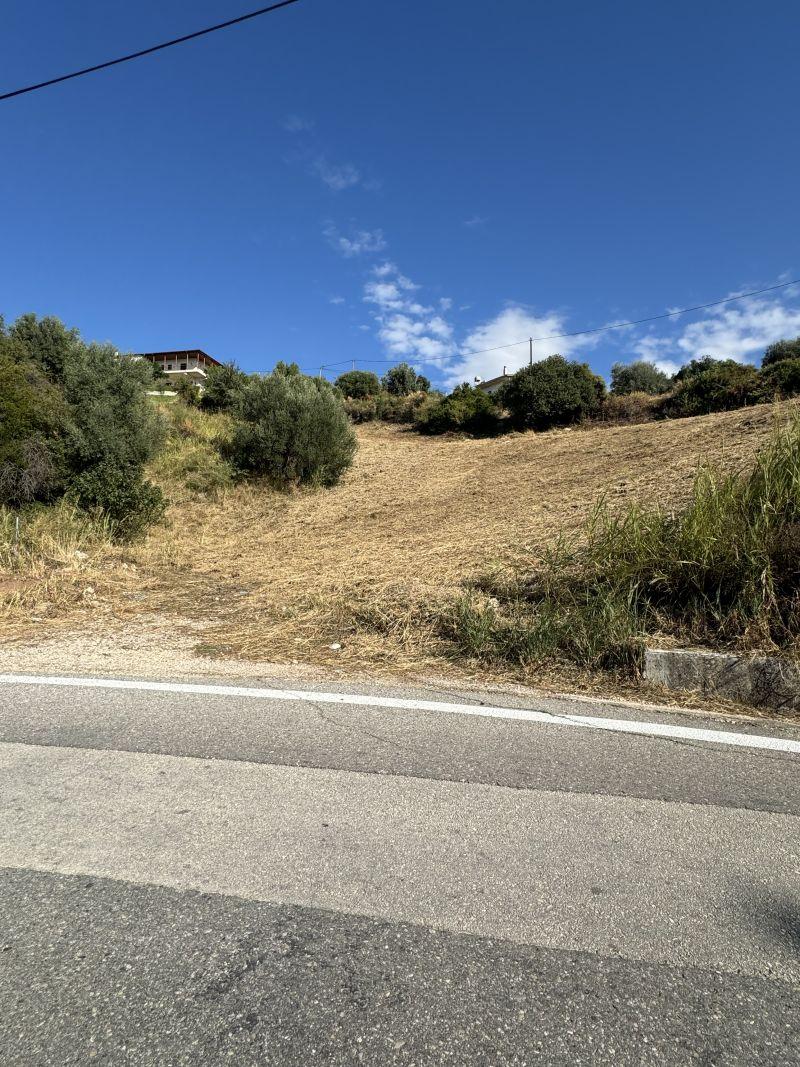 Photo 3,Εξωτερική,ΠΏΛΗΣΗ,Γη,Οικόπεδο,672τ.μ,€50,000,Πάτρα