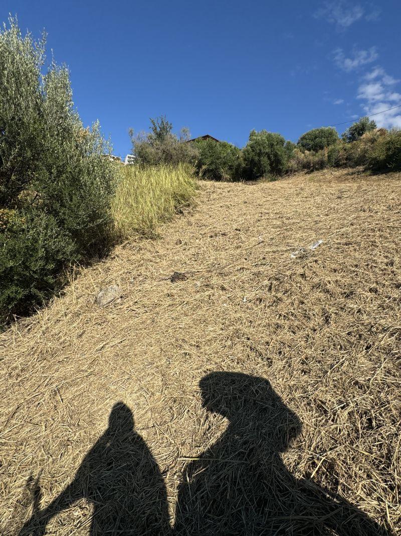 Photo 4,Εξωτερική,ΠΏΛΗΣΗ,Γη,Οικόπεδο,672τ.μ,€50,000,Πάτρα