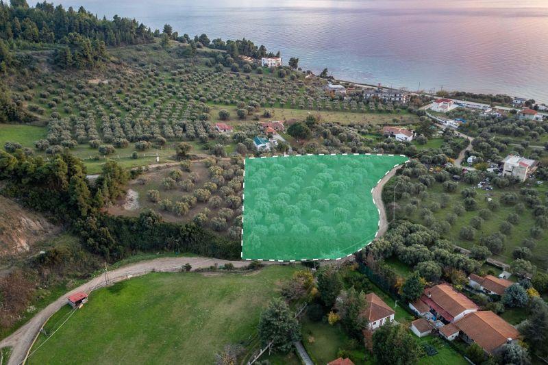 Photo 4,Θέα στη θάλασσα,ΠΏΛΗΣΗ,Γη,Αγροτεμάχιο,5032τ.μ,€79,000,Νέα Σκιώνη
