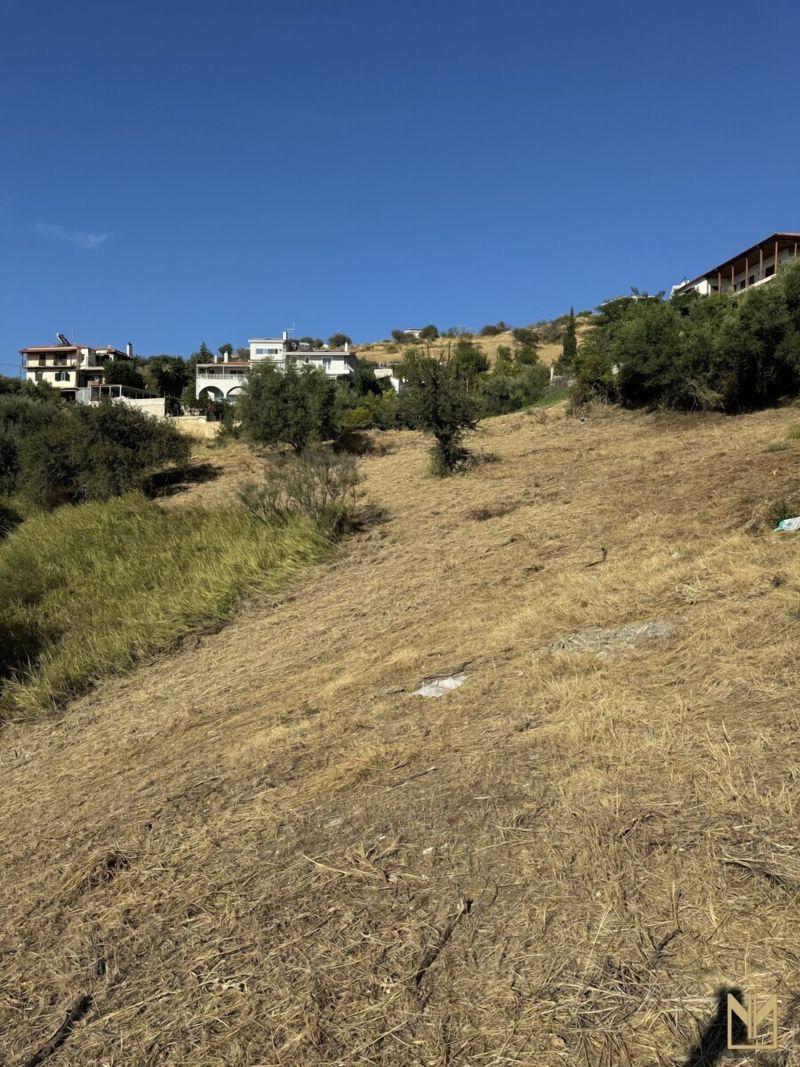 Photo 4,Εξωτερική,ΠΏΛΗΣΗ,Γη,Οικόπεδο,669τ.μ,€45,000,Πάτρα