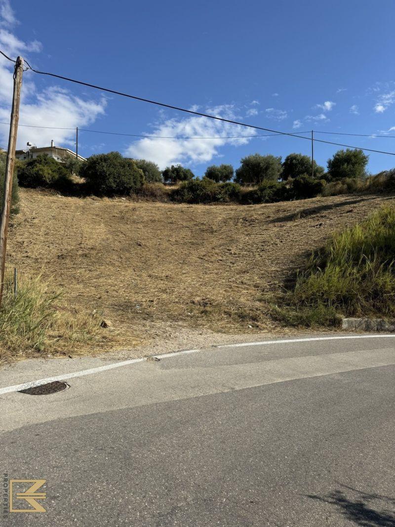Photo 3,Εξωτερική,ΠΏΛΗΣΗ,Γη,Οικόπεδο,744τ.μ,€50,000,Πάτρα