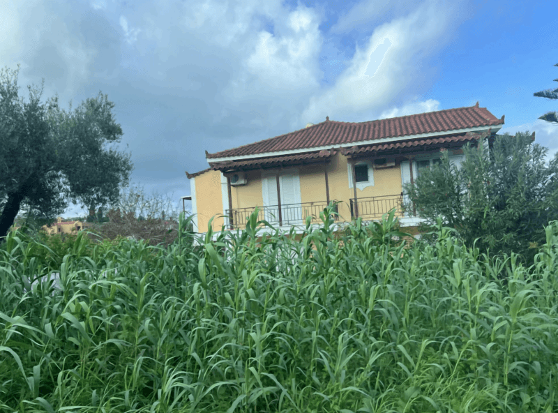 Photo 6,Θέα στη θάλασσα,ΕΝΟΙΚΊΑΣΗ,Κατοικία,Μονοκατοικία,200τ.μ,€140,500,Ζάκυνθος
