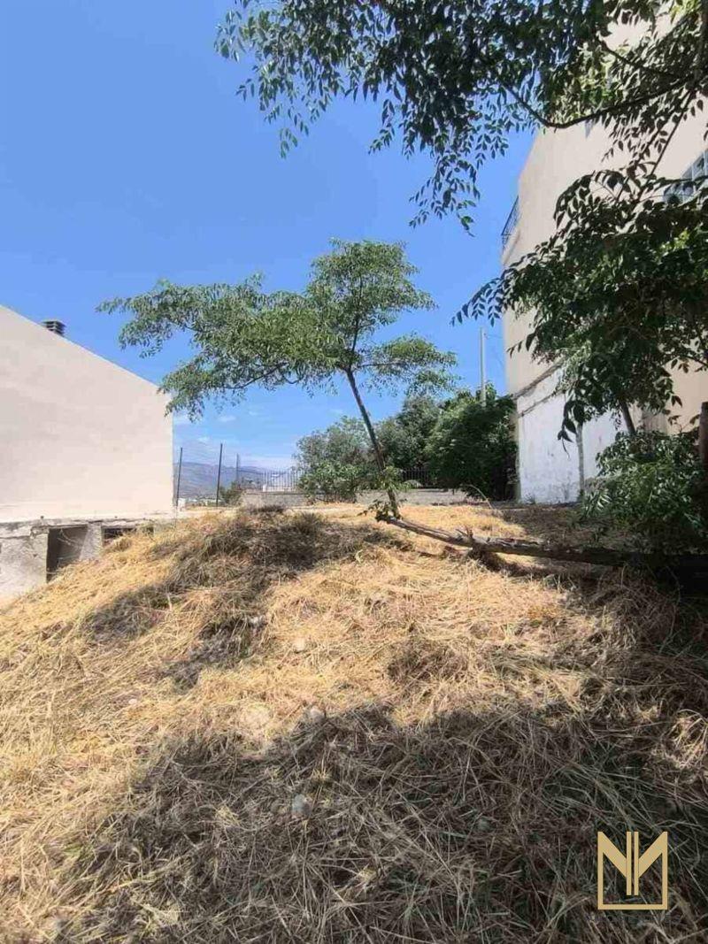 Photo 5,Εξωτερική,ΠΏΛΗΣΗ,Γη,Οικόπεδο,251τ.μ,€120,000,Γερόβουνο