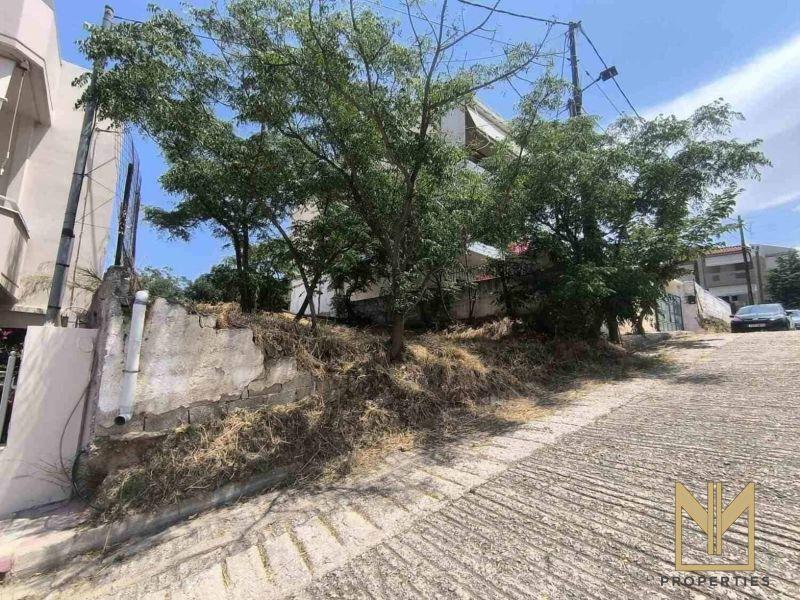 Photo 1,Κήπος,ΠΏΛΗΣΗ,Γη,Οικόπεδο,251τ.μ,€120,000,Γερόβουνο