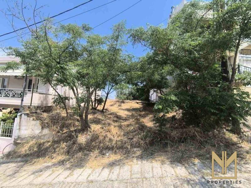 Photo 11,Εξωτερική,ΠΏΛΗΣΗ,Γη,Οικόπεδο,251τ.μ,€120,000,Γερόβουνο